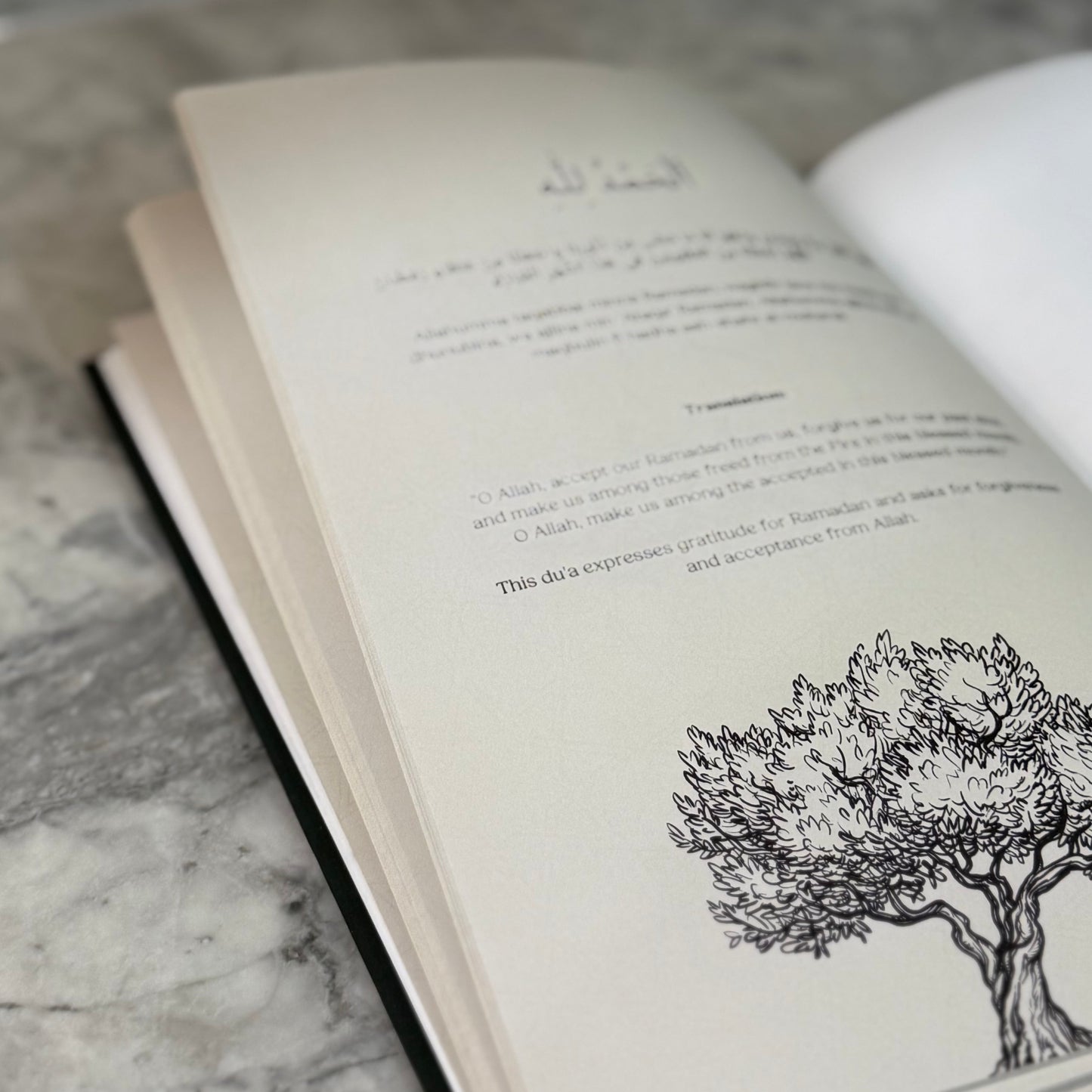 Ramadan Reset Journal 1446